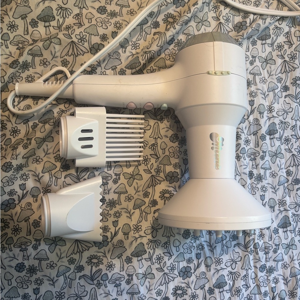 Mane Hair Dryer with 3 Attachments